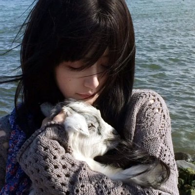 多龙芝