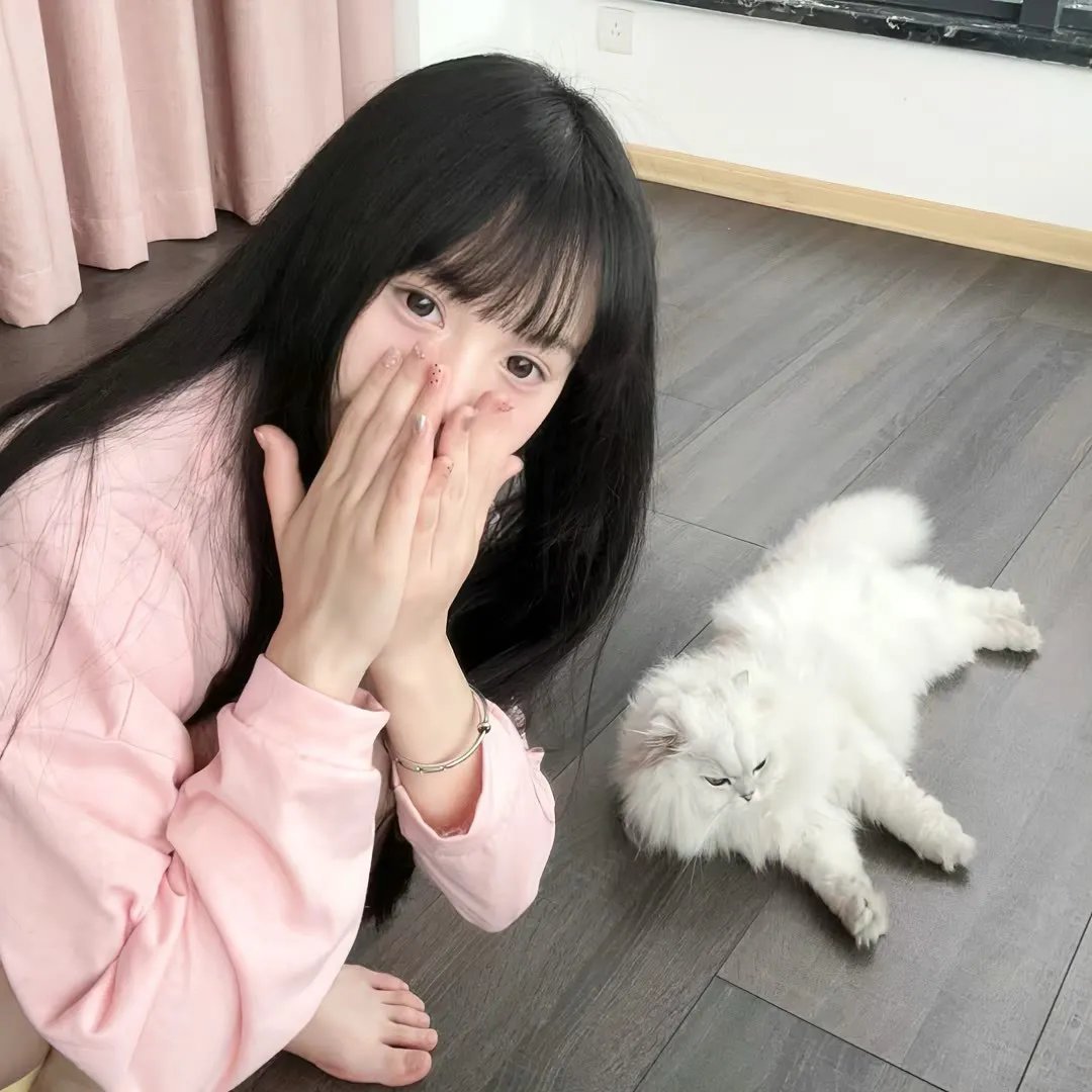 飞行之翼